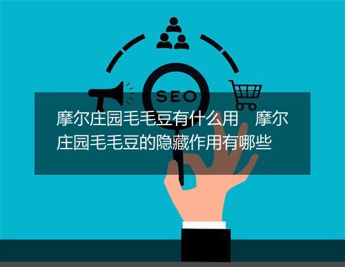 摩尔庄园毛毛豆有什么用　摩尔庄园毛毛豆的隐藏作用有哪些